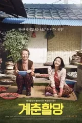 Hoa Cải Vàng