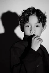 Wang Maiqi