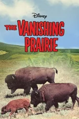 Đồng Cỏ Biến Mất