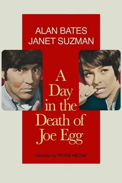 Một Ngày Trong Đời Joe Egg