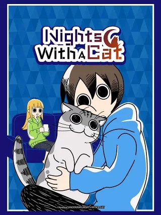 Nights With A Cat
