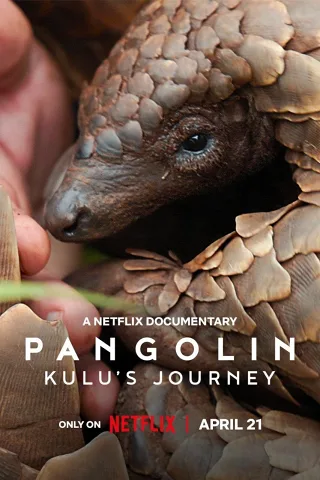 Loài Tê Tê: Hành Trình Của Kulu