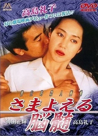 Bộ Óc Lang Thang