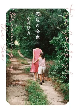 Cá Vàng Bên Bờ Biển