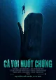Cá Voi Nuốt Chửng
